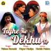 About Tujhe Na Dekhu To Song